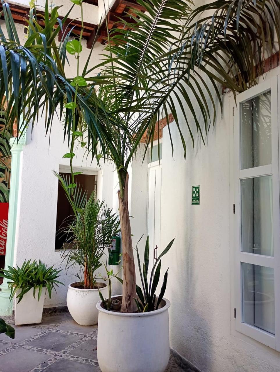 Casa Verde Hotel サンタ・マルタ エクステリア 写真