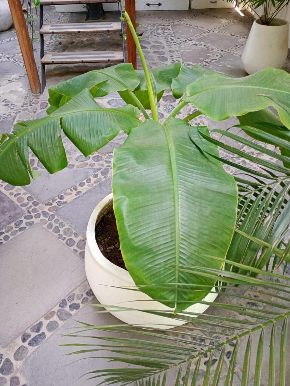 Casa Verde Hotel サンタ・マルタ エクステリア 写真